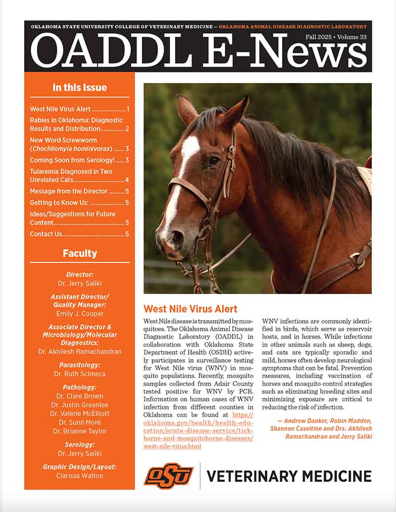 25_newsletter